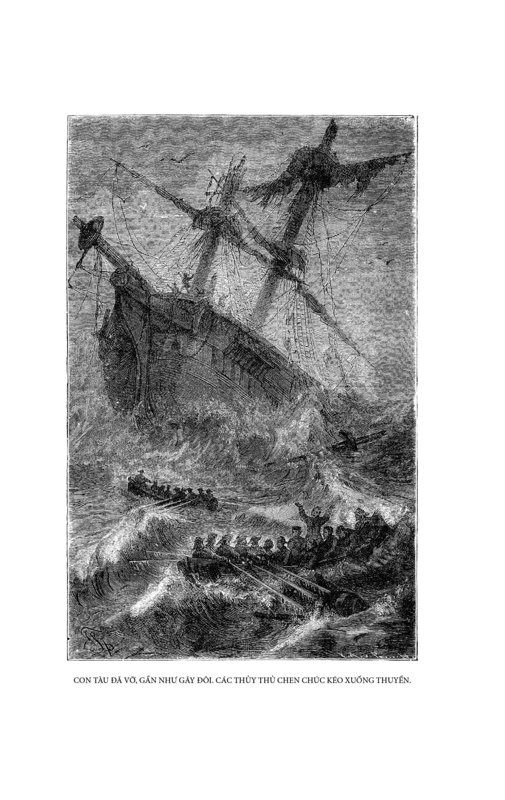 gia đình robinson thụy sỹ - bìa vải - Ảnh 10