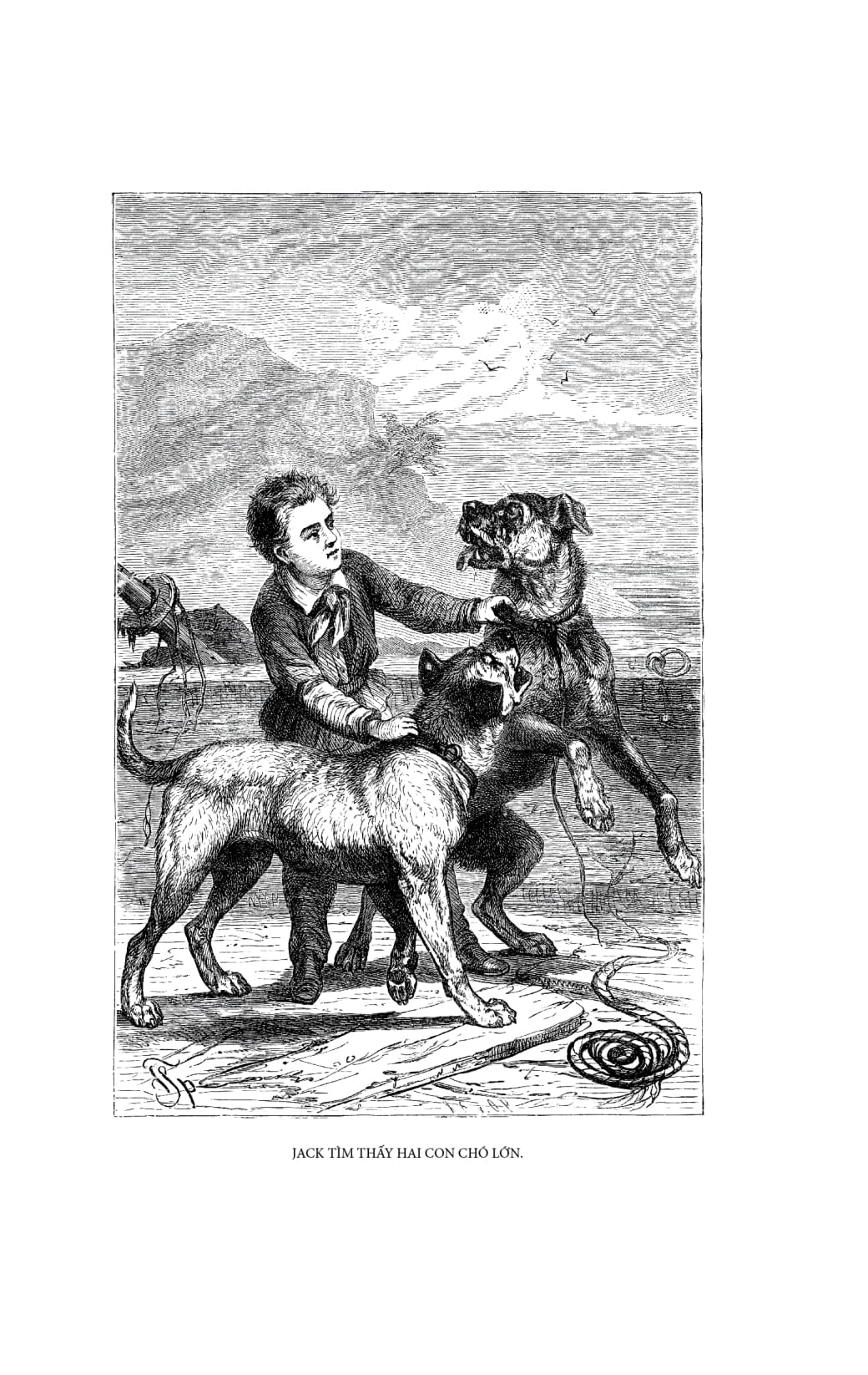 gia đình robinson thụy sỹ - bìa vải - Ảnh 14