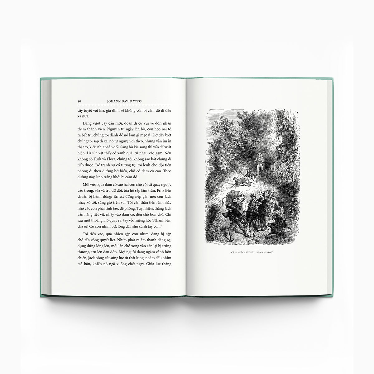 gia đình robinson thụy sỹ - bìa vải - Ảnh 4