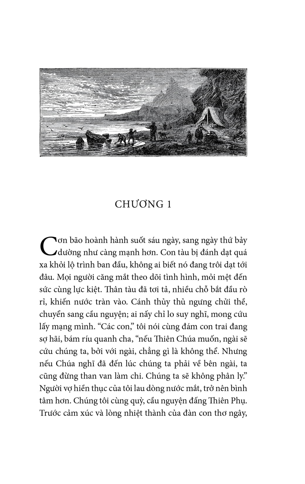 gia đình robinson thụy sỹ - bìa vải - Ảnh 8