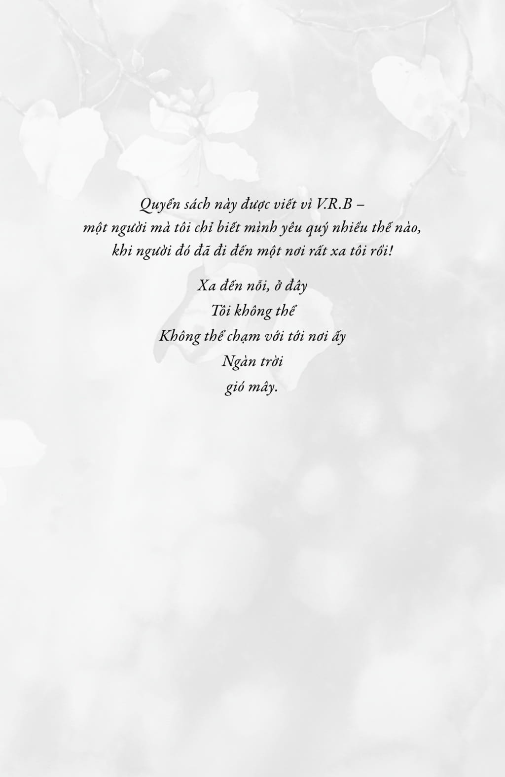 giá ngày tháng ấy có người hiểu tôi... - Ảnh 11