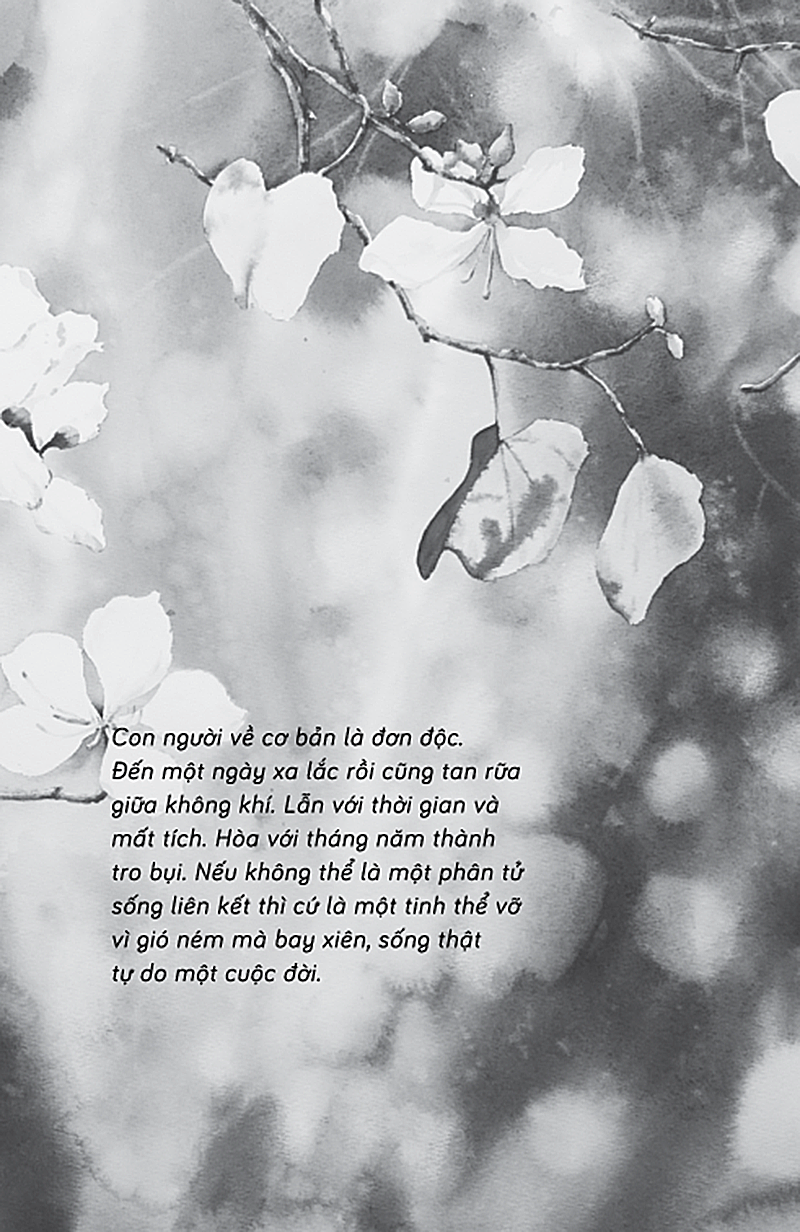 giá ngày tháng ấy có người hiểu tôi... - Ảnh 12