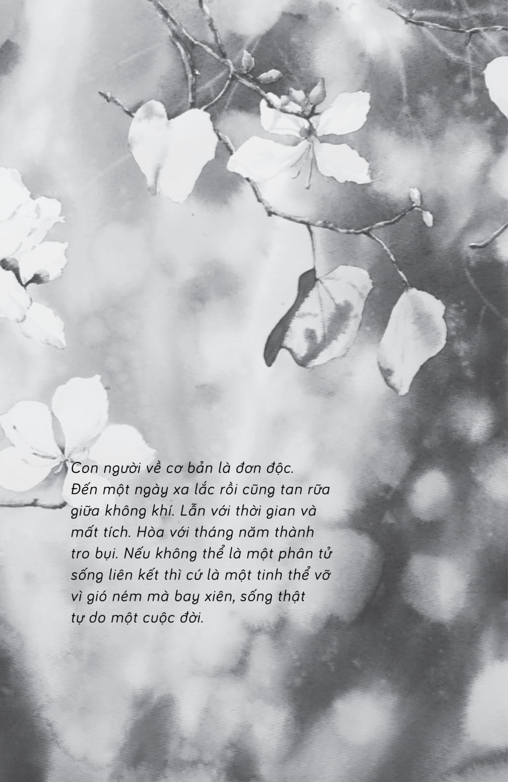 giá ngày tháng ấy có người hiểu tôi... - Ảnh 18