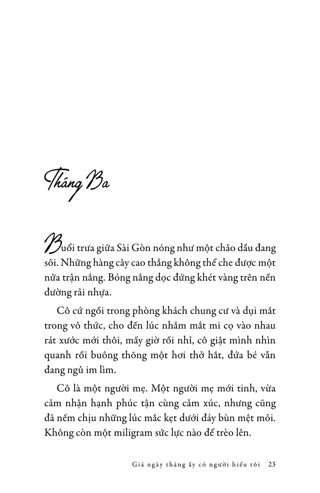 giá ngày tháng ấy có người hiểu tôi... - Ảnh 24