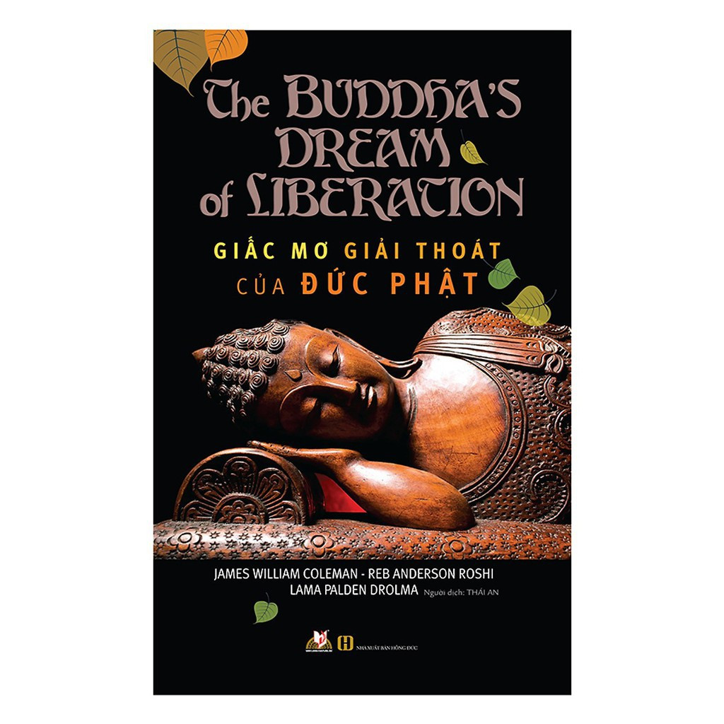 giấc mơ giải thoát của đức phật - Ảnh 2