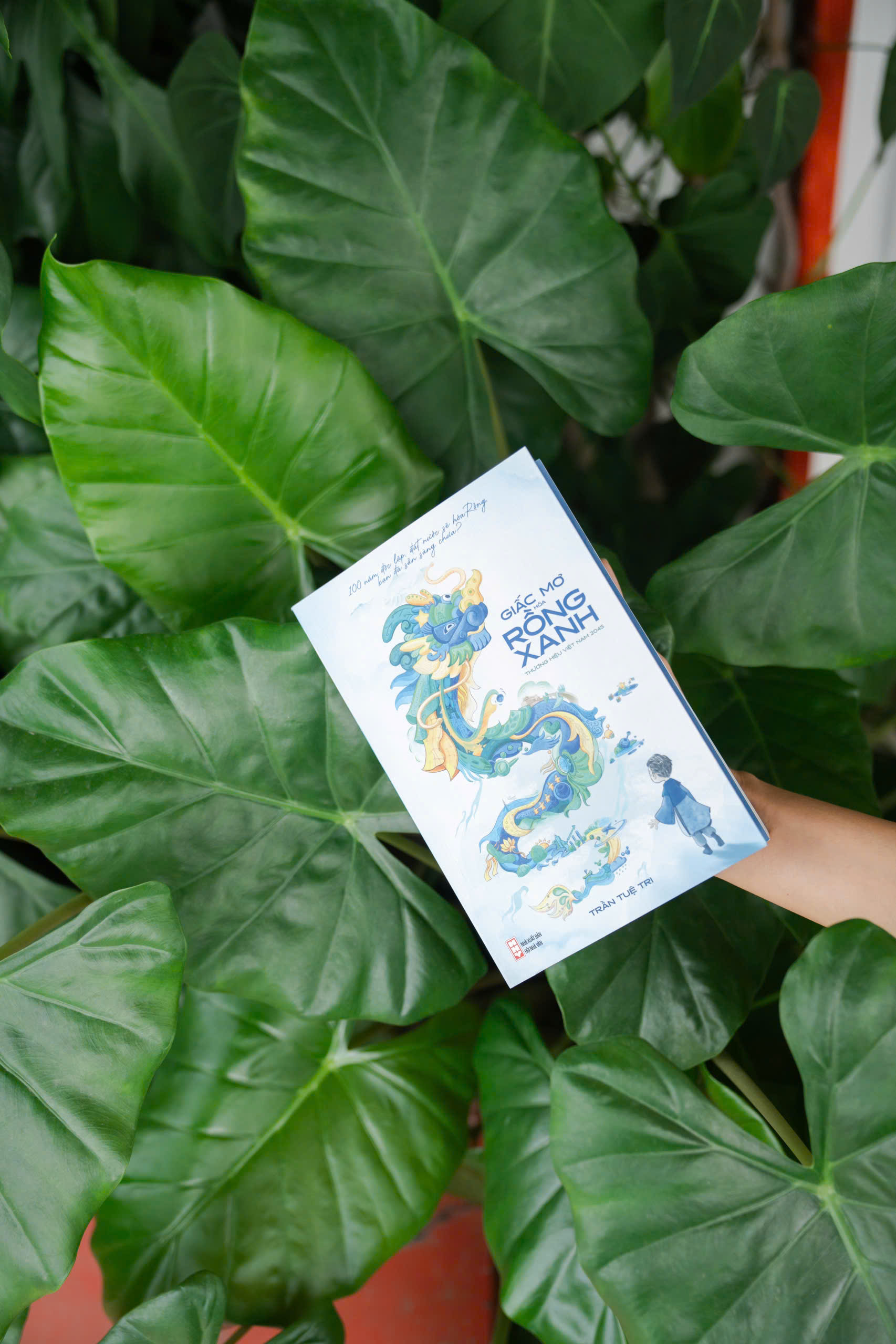 Giấc Mơ Hóa Rồng Xanh - Ảnh 11