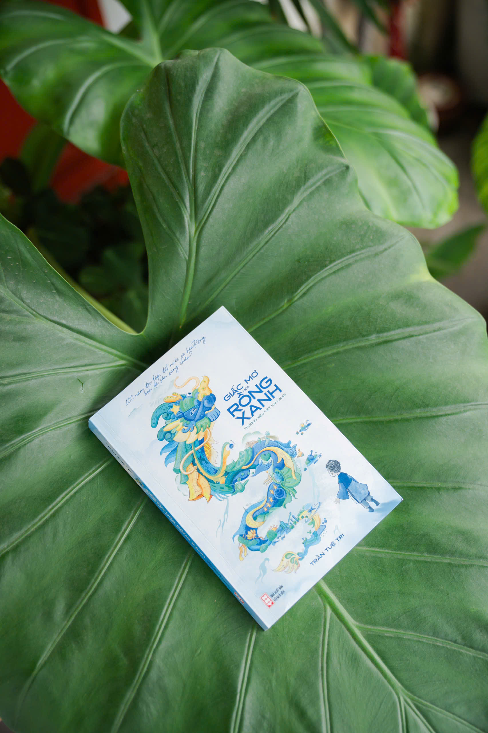 Giấc Mơ Hóa Rồng Xanh - Ảnh 9