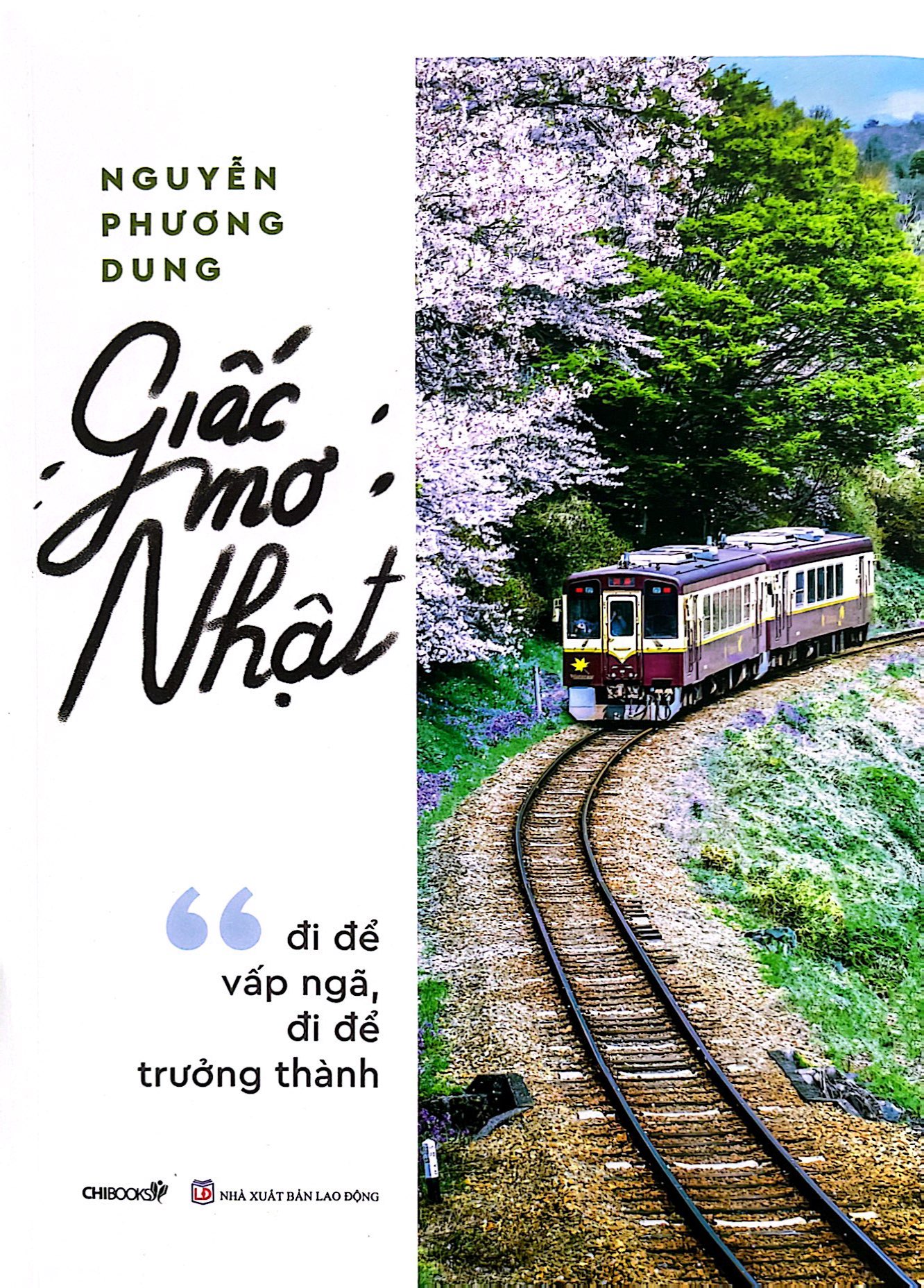 giấc mơ nhật - đi để vấp ngã, đi để trưởng thành - Ảnh 2