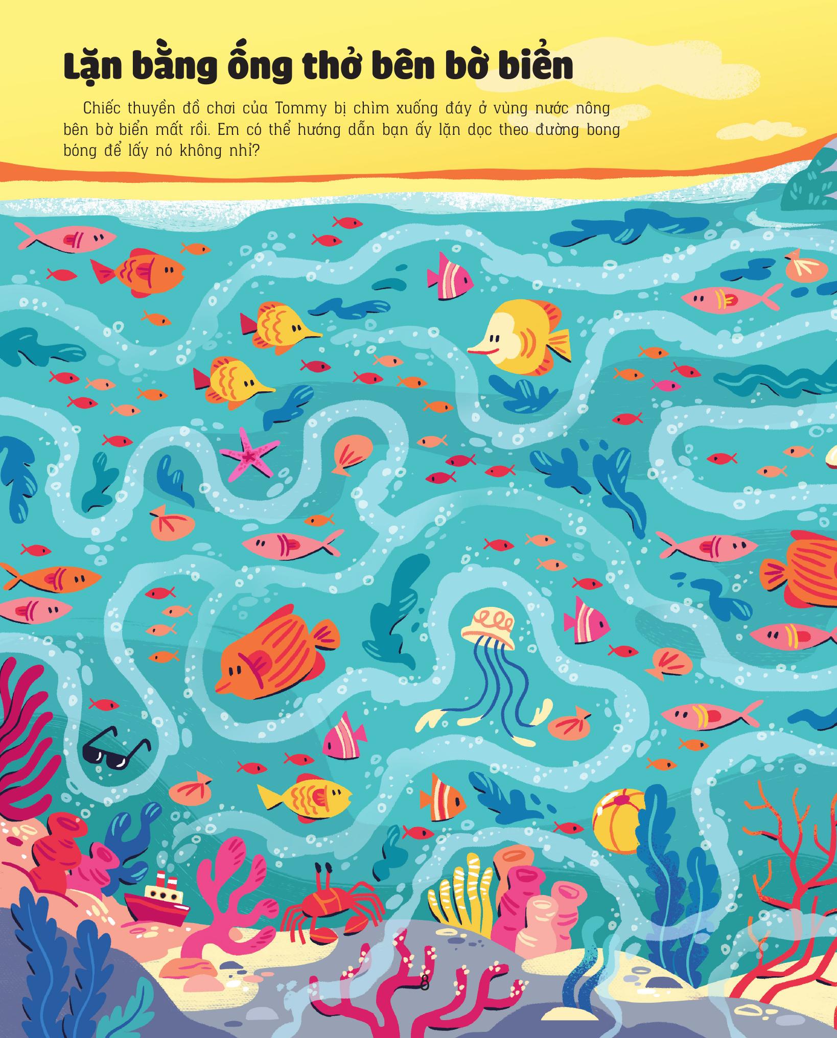 giải mã mê cung - phát triển iq - đại dương - Ảnh 9