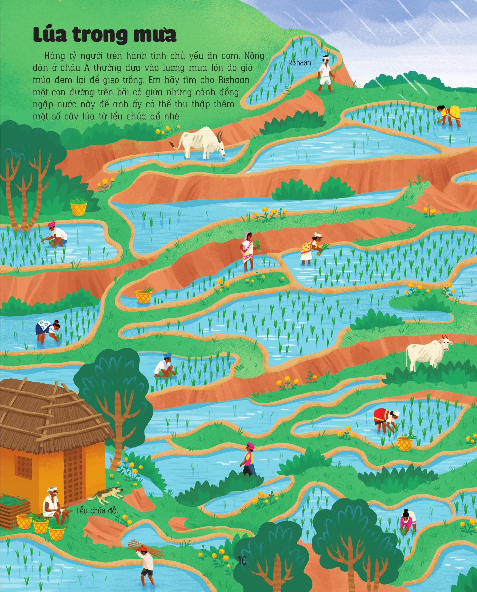 Giải Mã Mê Cung - Phát Triển IQ - Trái Đất - Ảnh 12