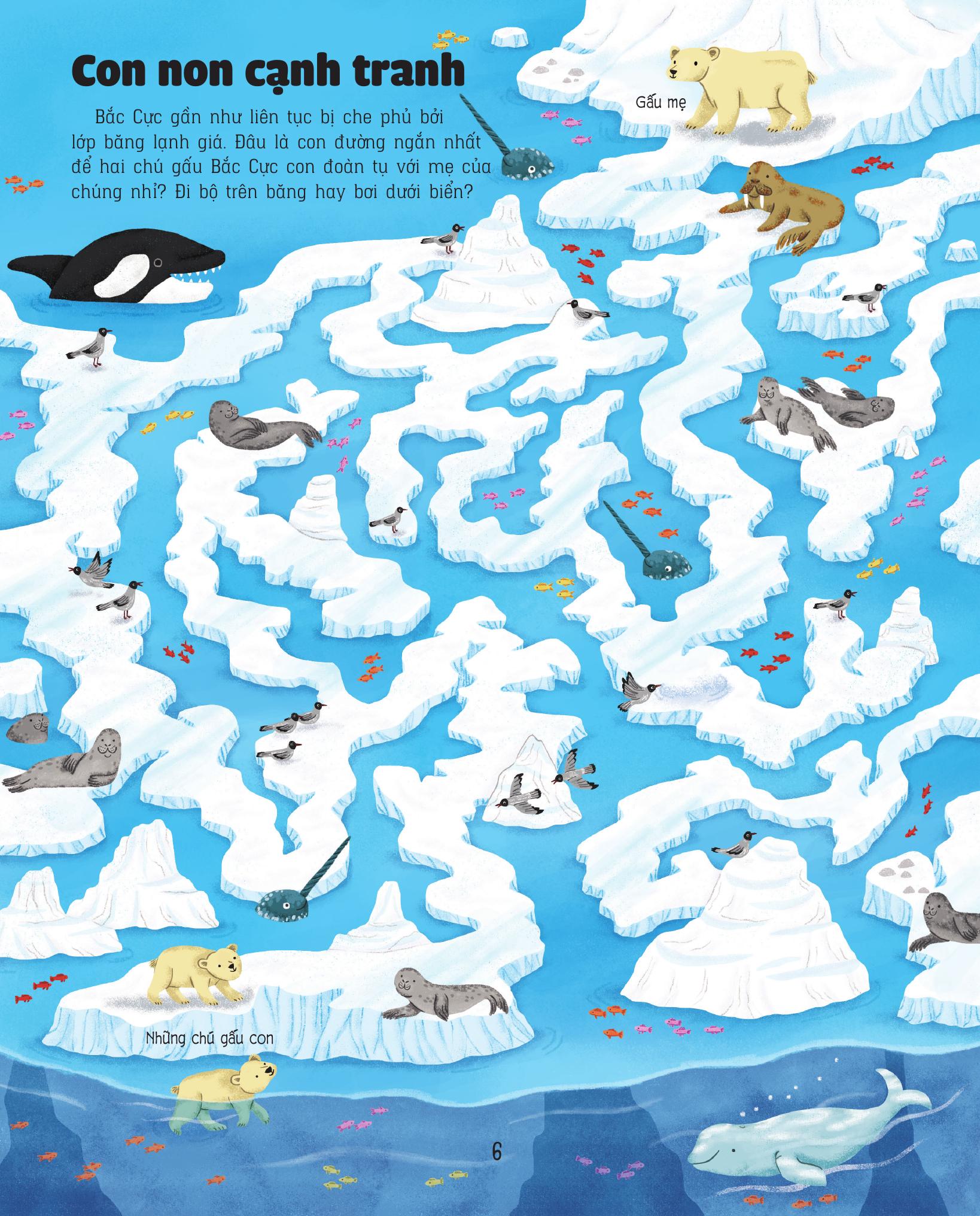 Giải Mã Mê Cung - Phát Triển IQ - Trái Đất - Ảnh 8