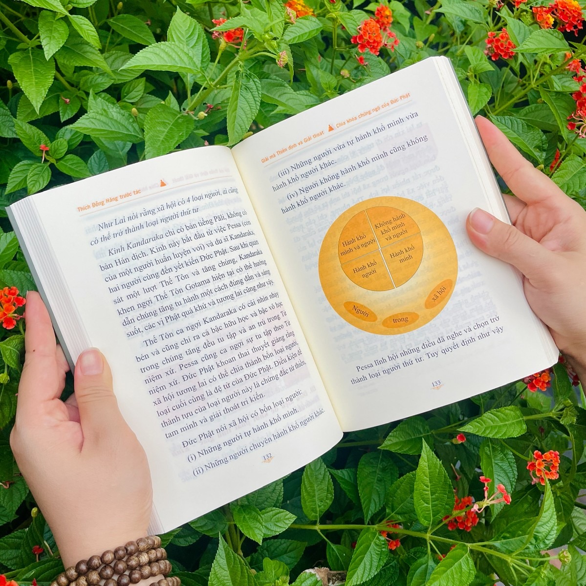 giải mã thiền định và giải thoát - Ảnh 3