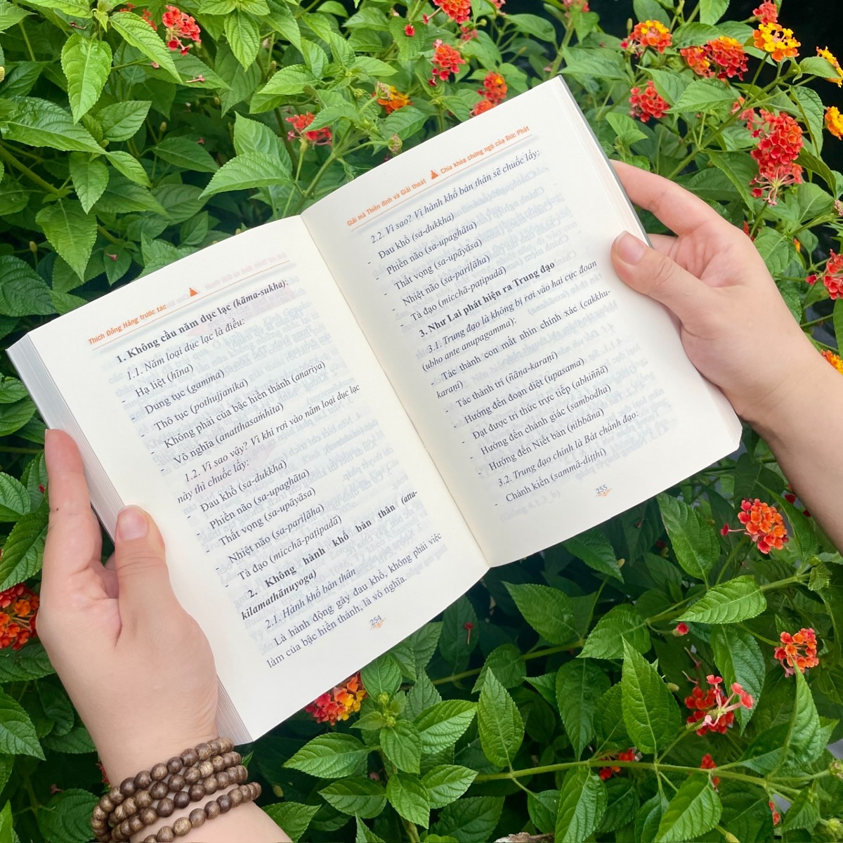 giải mã thiền định và giải thoát - Ảnh 4