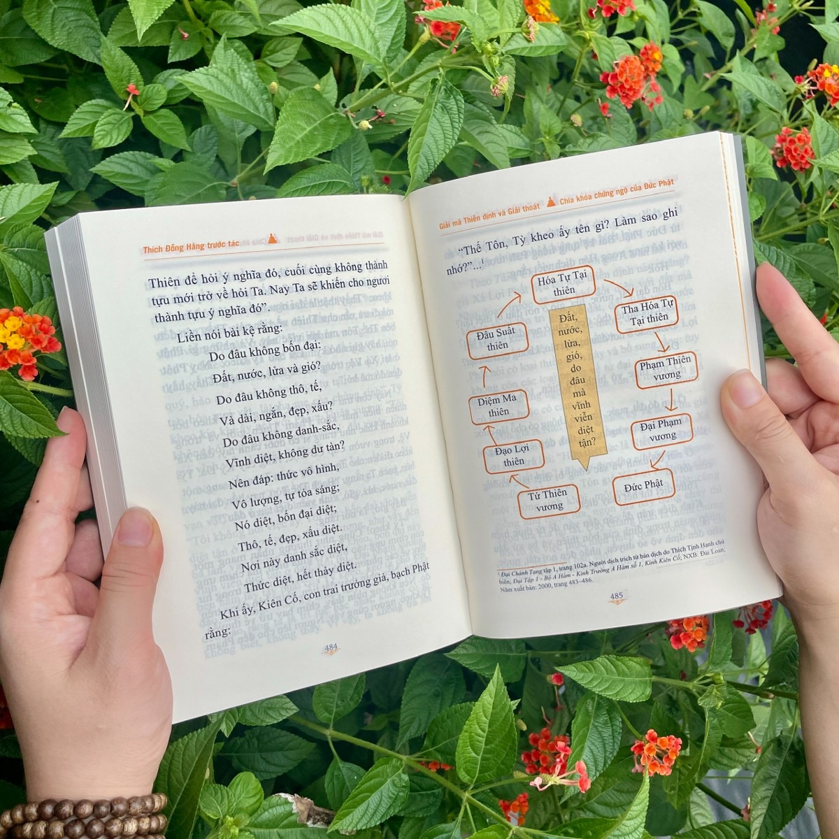 giải mã thiền định và giải thoát - Ảnh 5