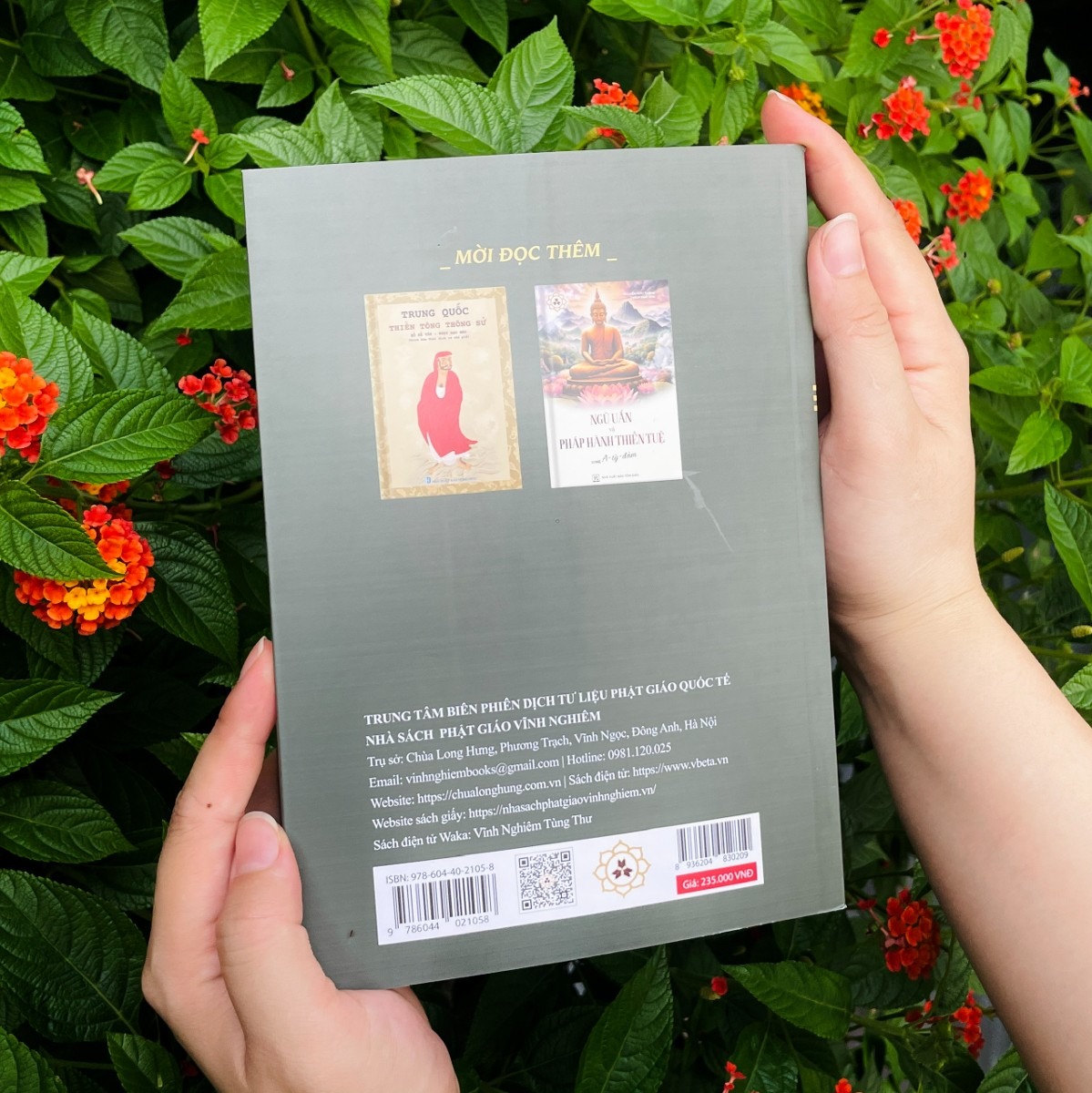 giải mã thiền định và giải thoát - Ảnh 6