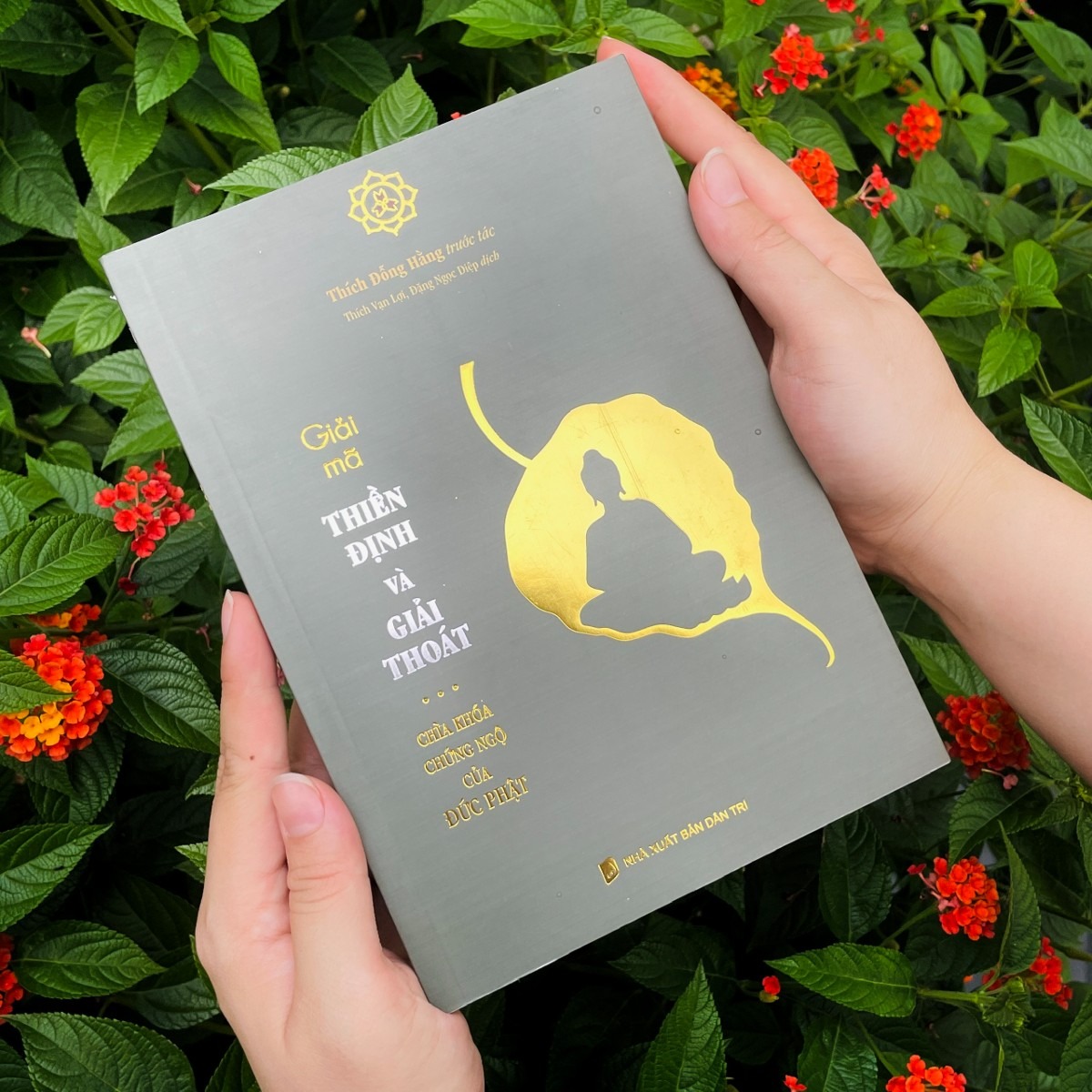 giải mã thiền định và giải thoát - Ảnh 7