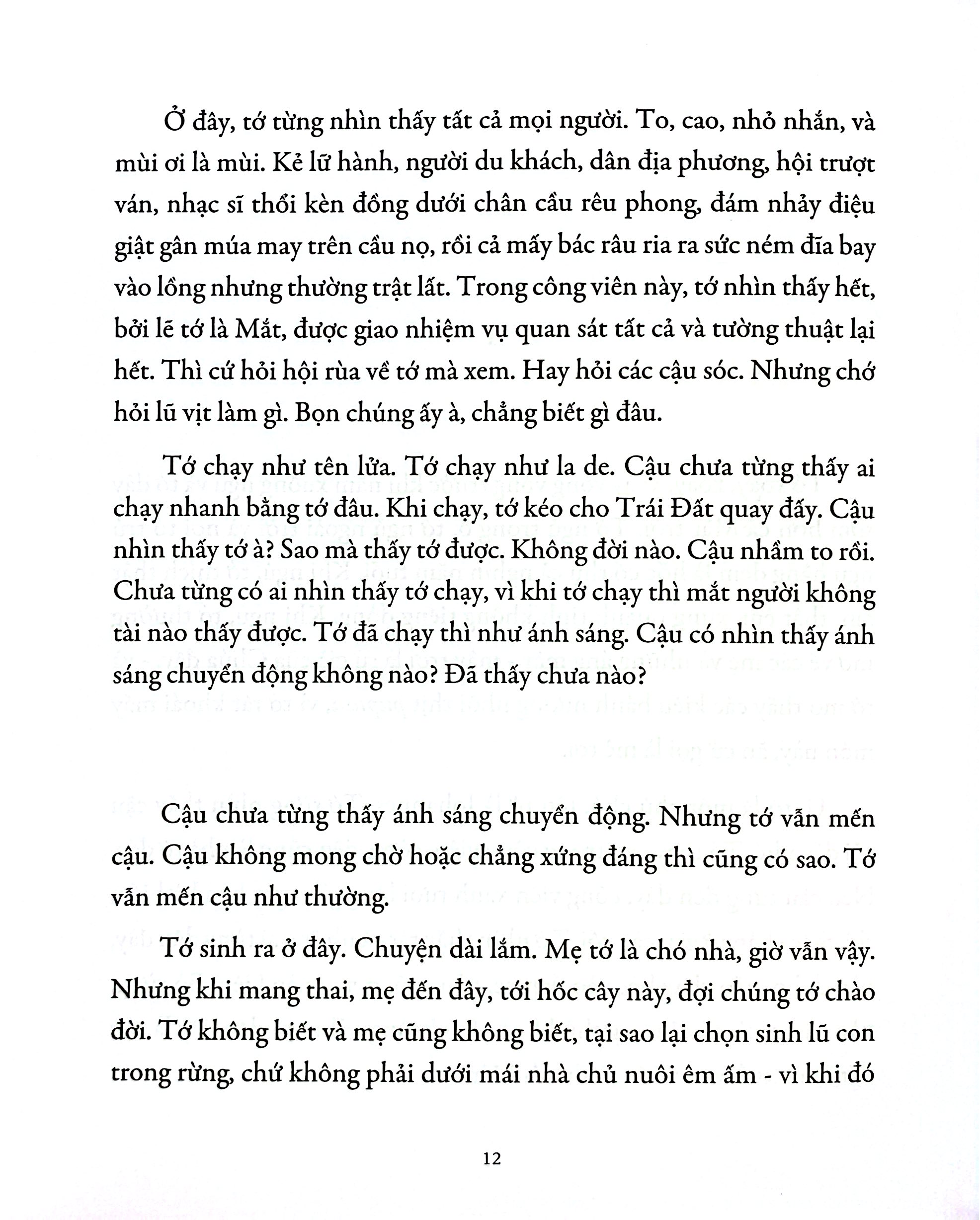 Giải Thưởng Văn Học Newbery Medal 2024 - Mắt Và Nhiệm Vụ Bất Khả Thi - Ảnh 6