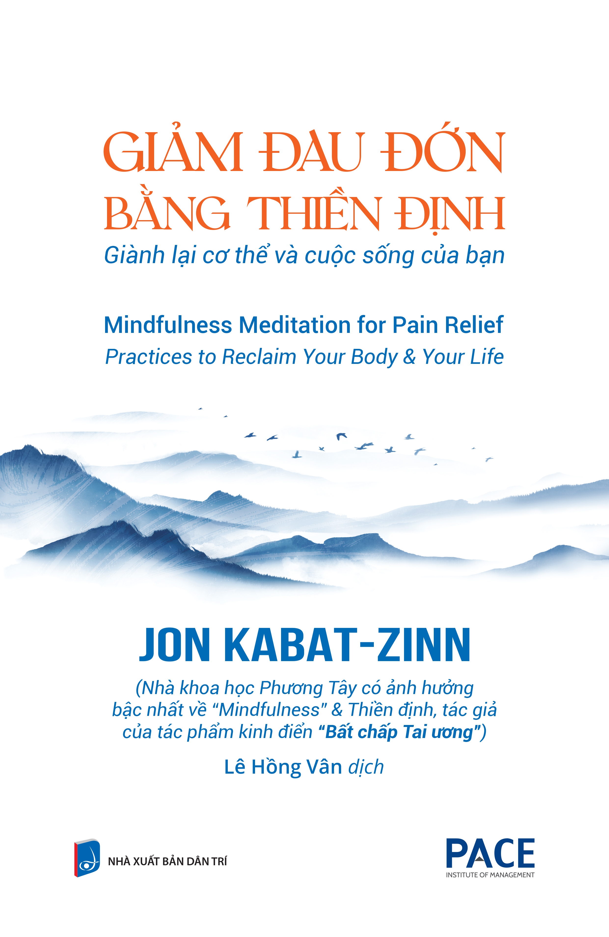 Giảm Đau Đớn Bằng Thiền Định - Mindfulness Meditation For Pain Relief - Ảnh 2