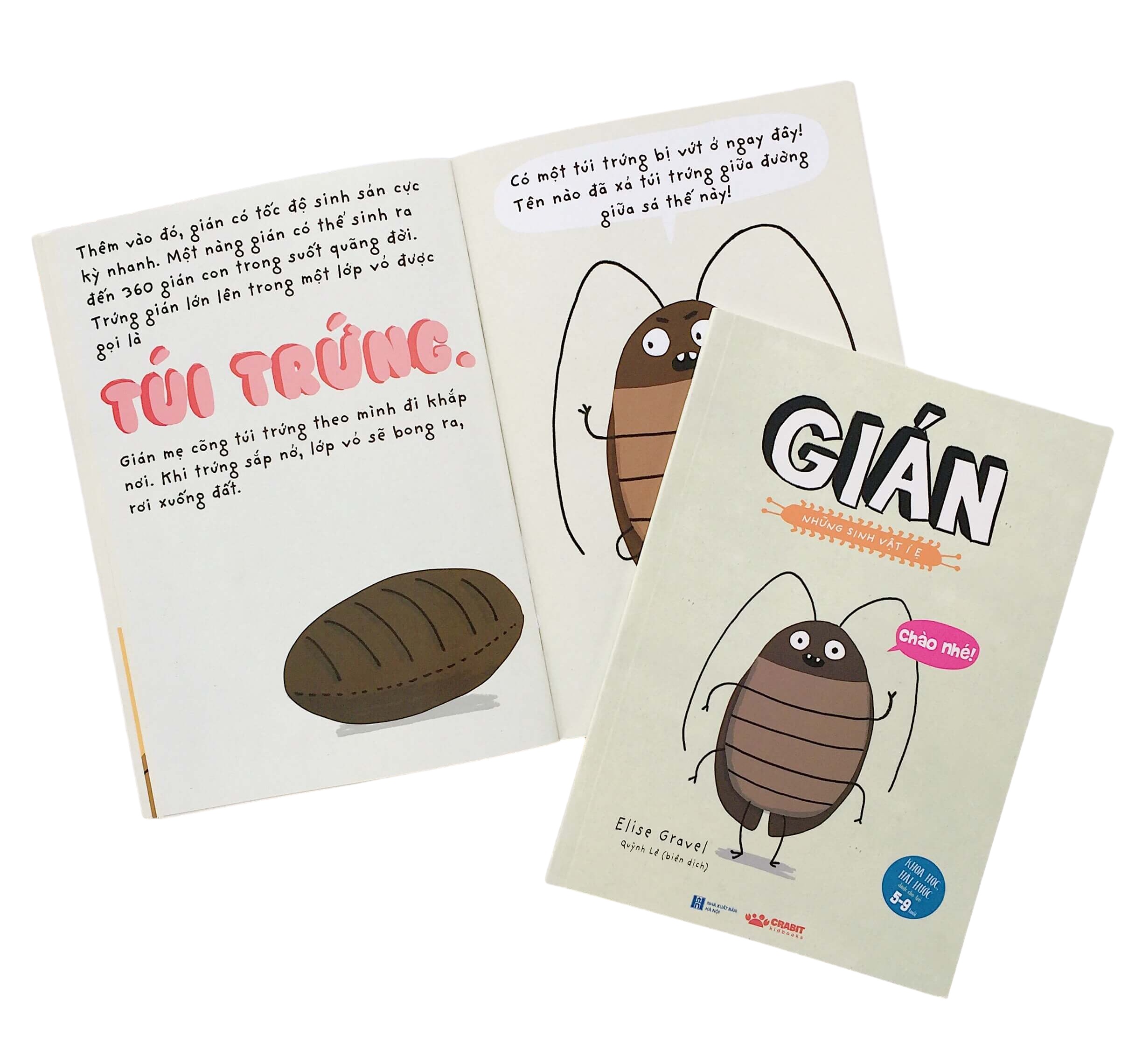gián - những sinh vật í ẹ (khoa học hài hước dành cho trẻ 5-9 tuổi) (tái bản 2023) - Ảnh 5