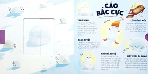 giáo dục đa giác quan - ú òa, rừng rậm và tuyết phủ - Ảnh 4