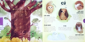 giáo dục đa giác quan - ú òa, rừng rậm và tuyết phủ - Ảnh 5