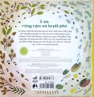 giáo dục đa giác quan - ú òa, rừng rậm và tuyết phủ - Ảnh 6