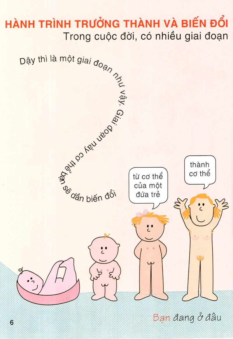 giáo dục giới tính tuổi dậy thì - bí mật của con gái (tái bản 2022) - Ảnh 11