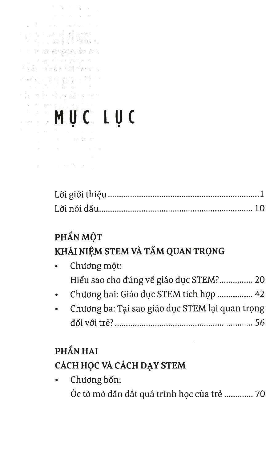 giáo dục stem/ steam: từ trải nghiệm thực hành đến tư duy sáng tạo - Ảnh 3