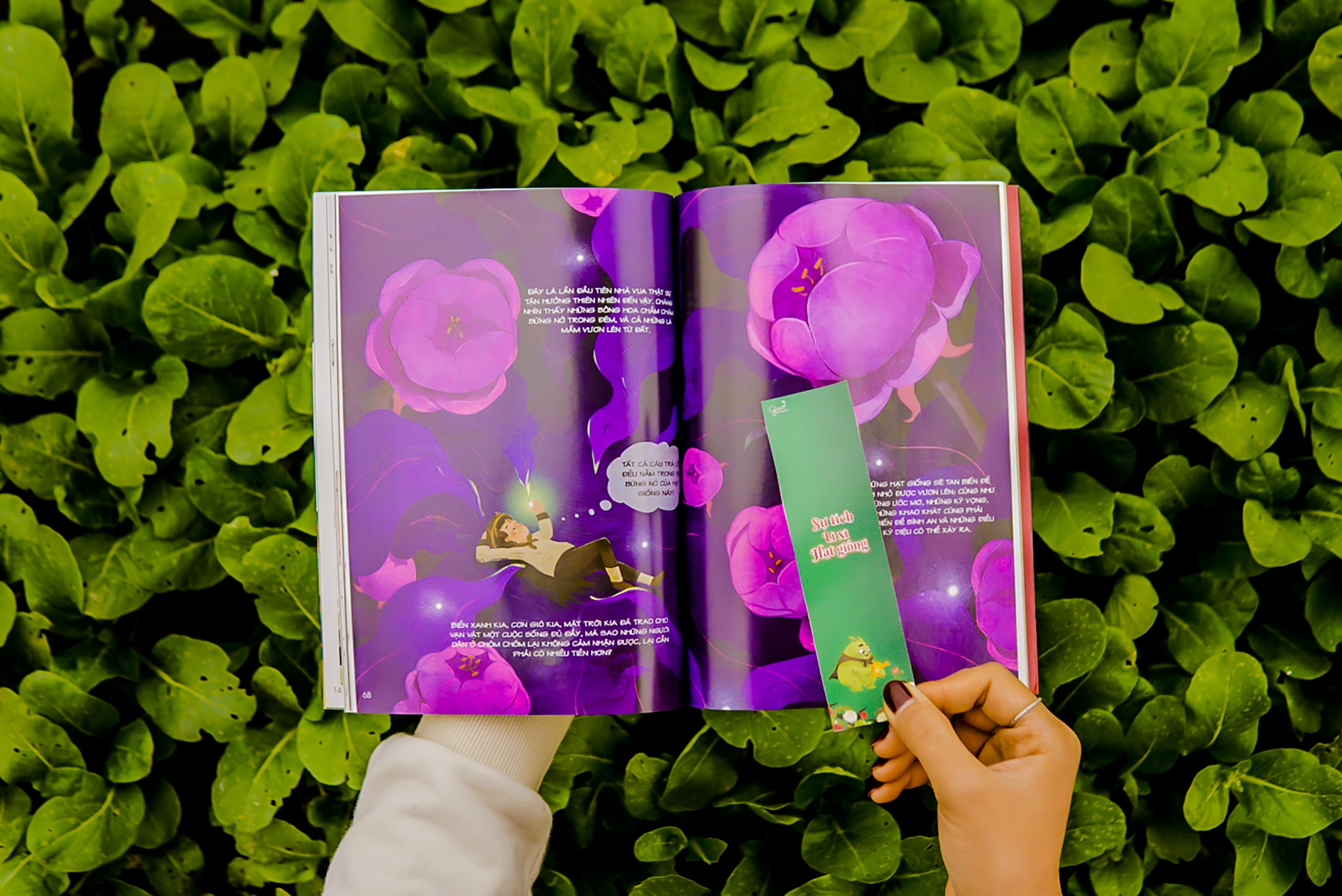 gieo - bộ truyện tranh sự tích lì xì hạt giống - Ảnh 5