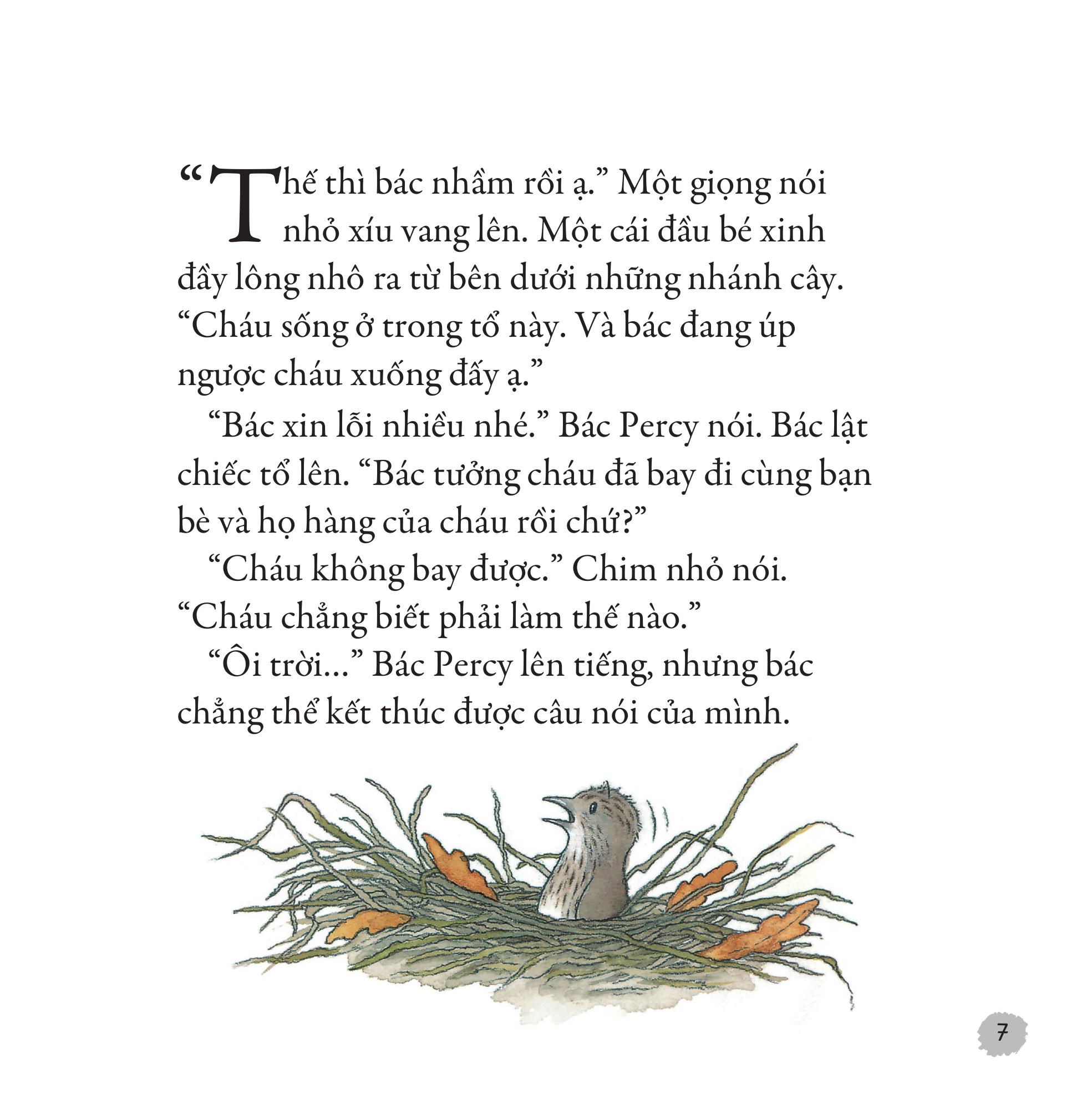 Gieo Mầm Yêu Thương - Bài Học Của Cú - Ảnh 7