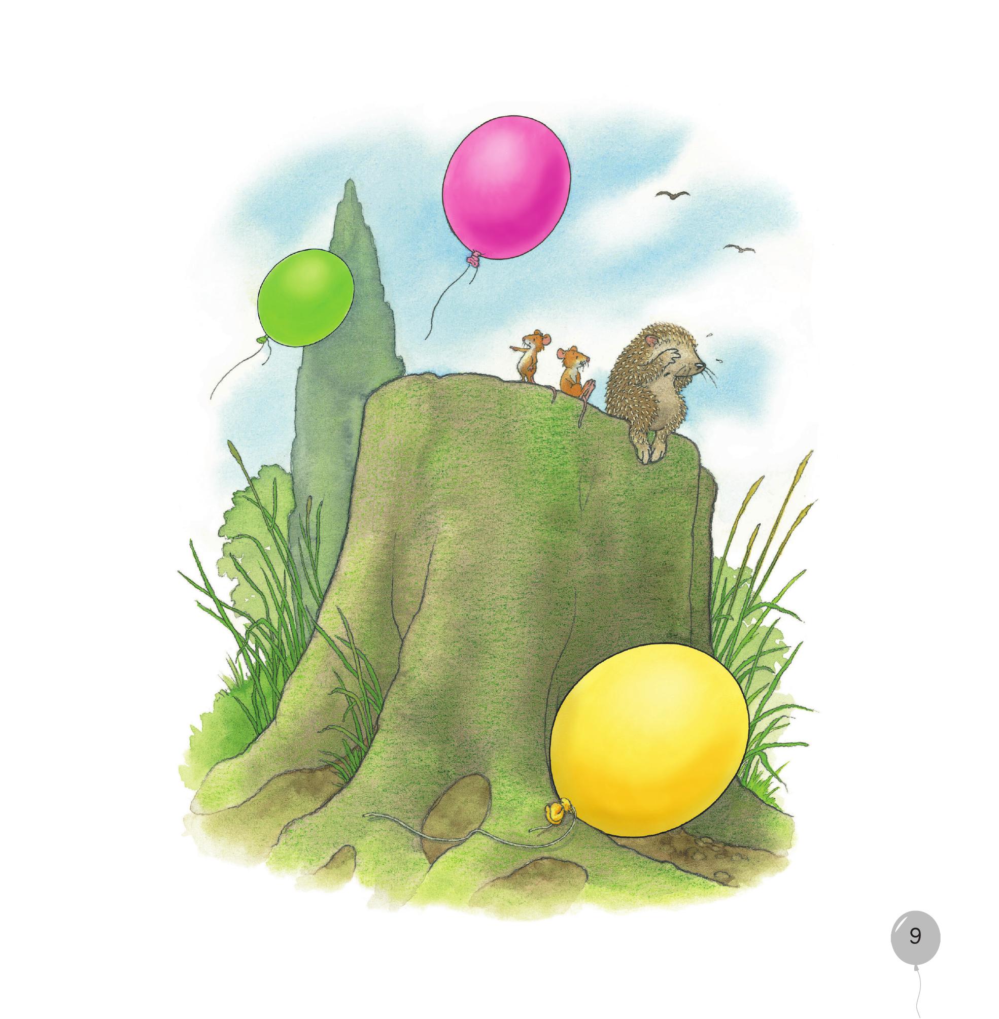 Gieo Mầm Yêu Thương - Bóng Bay Của Nhím - Ảnh 9