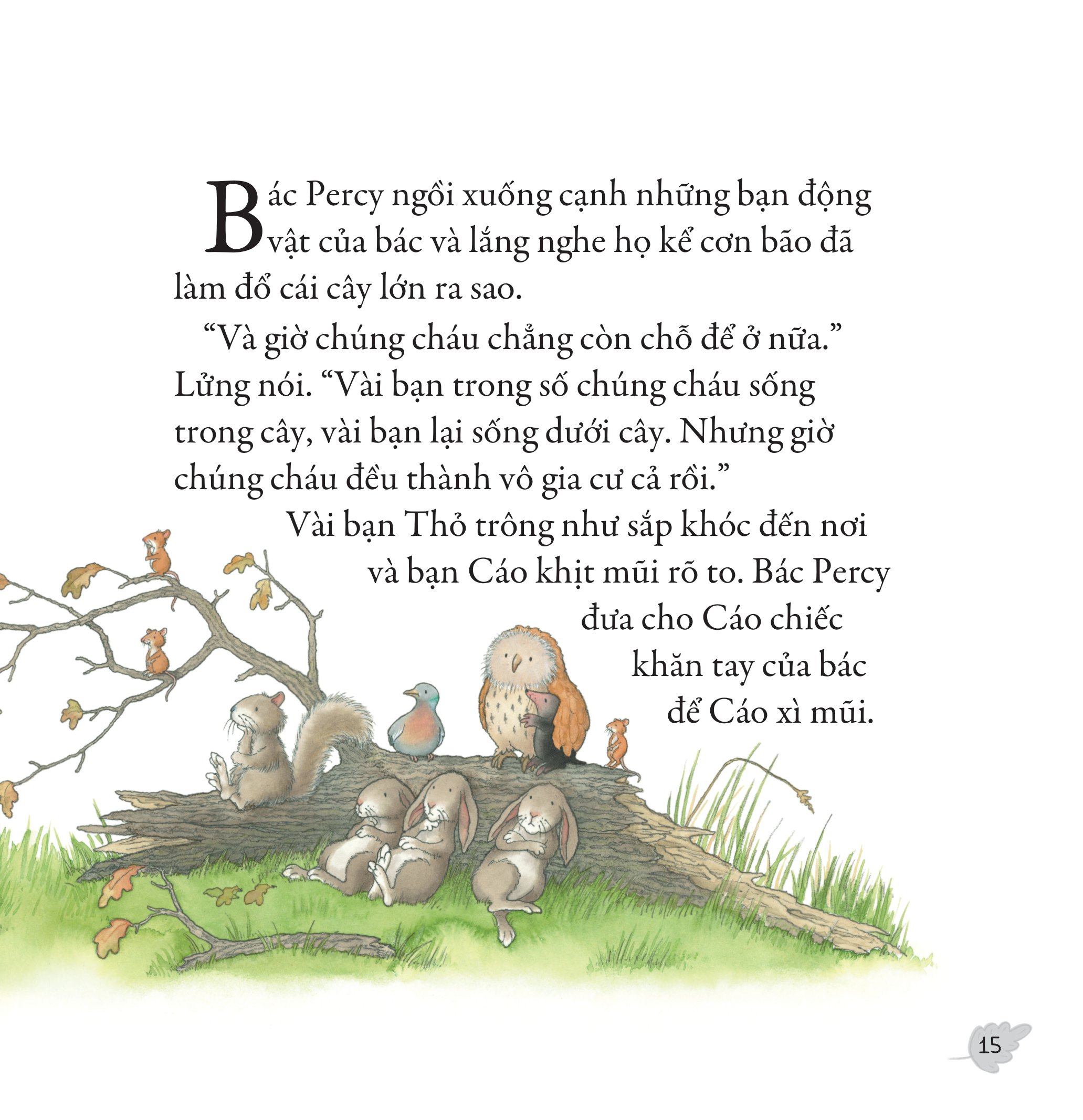 gieo mầm yêu thương - sau cơn bão (dành cho trẻ từ 3-9 tuổi) - Ảnh 11