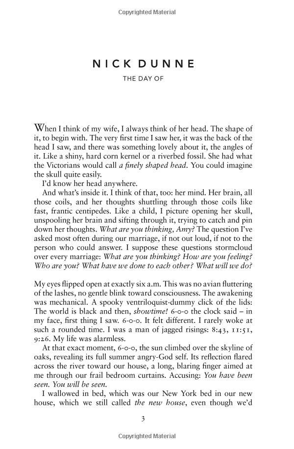 Gillian Flynn - Gone Girl - Ảnh 5