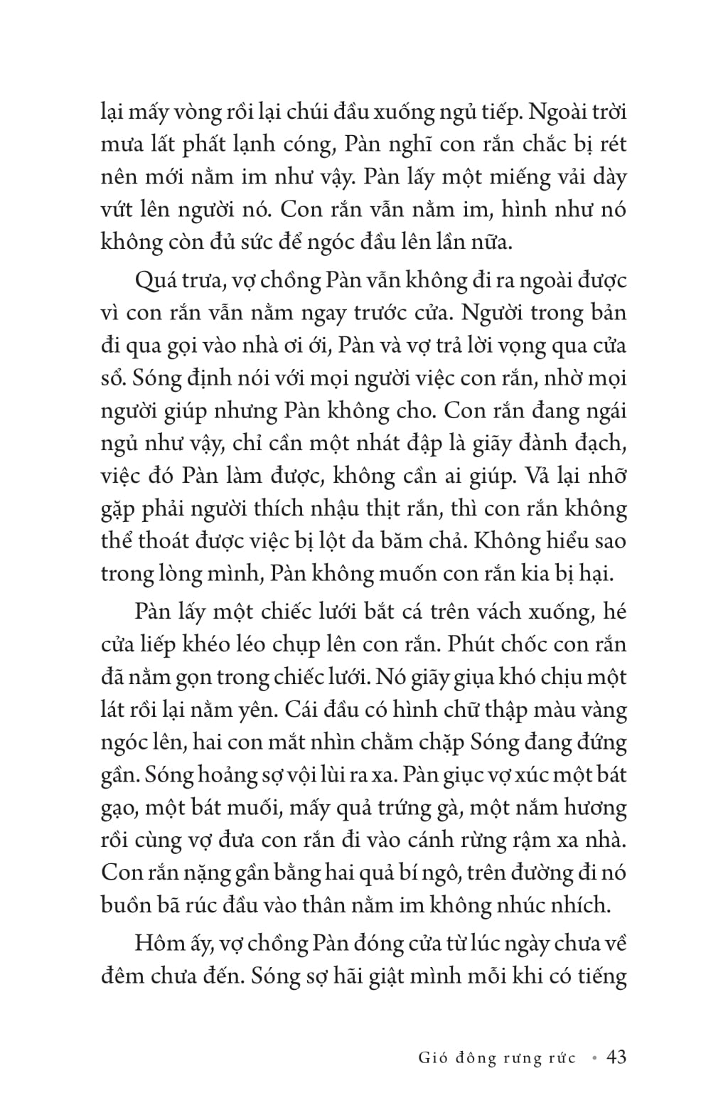 gió đông rưng rức - Ảnh 15