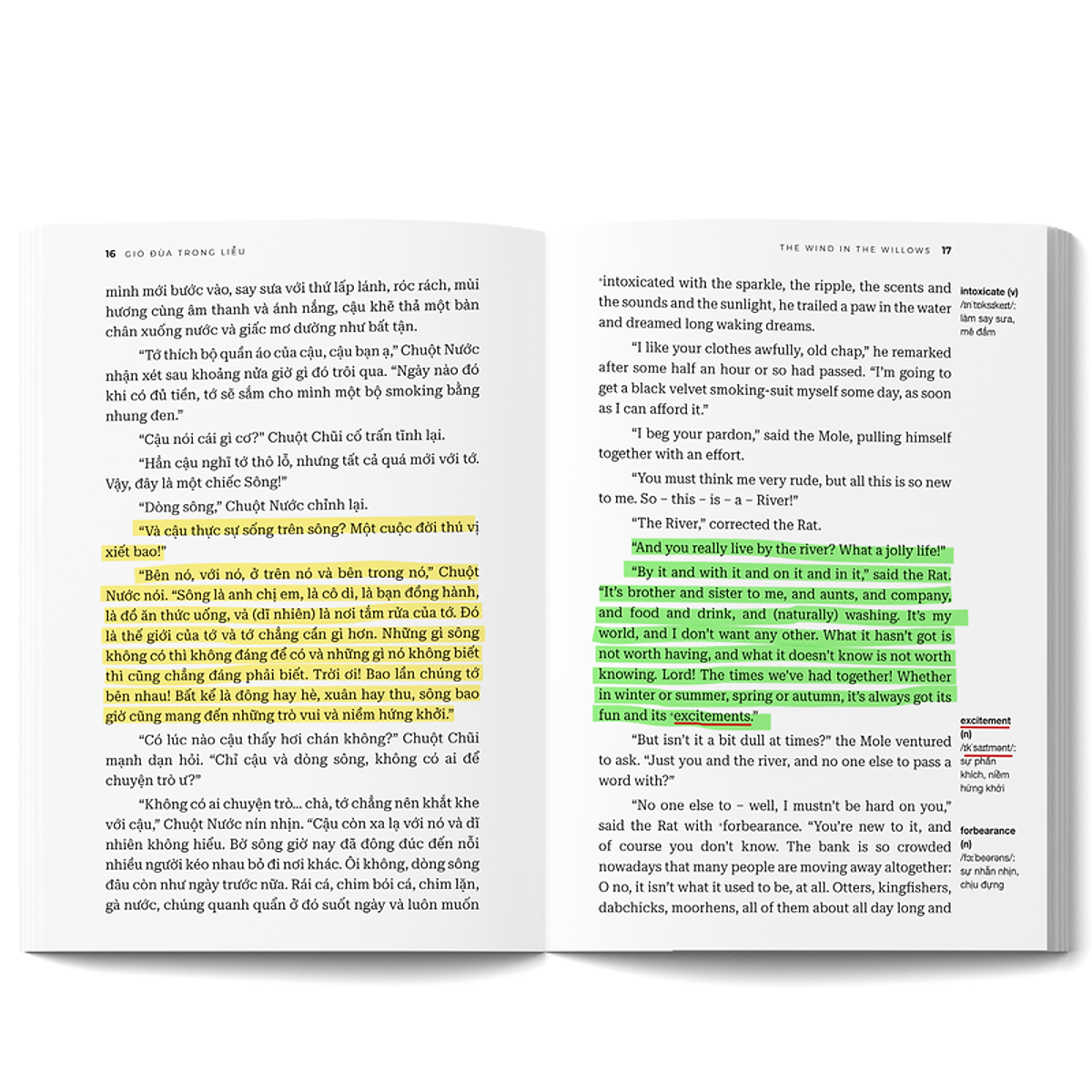 gió đùa trong liễu - the wind in the willows - song ngữ việt-anh - Ảnh 4