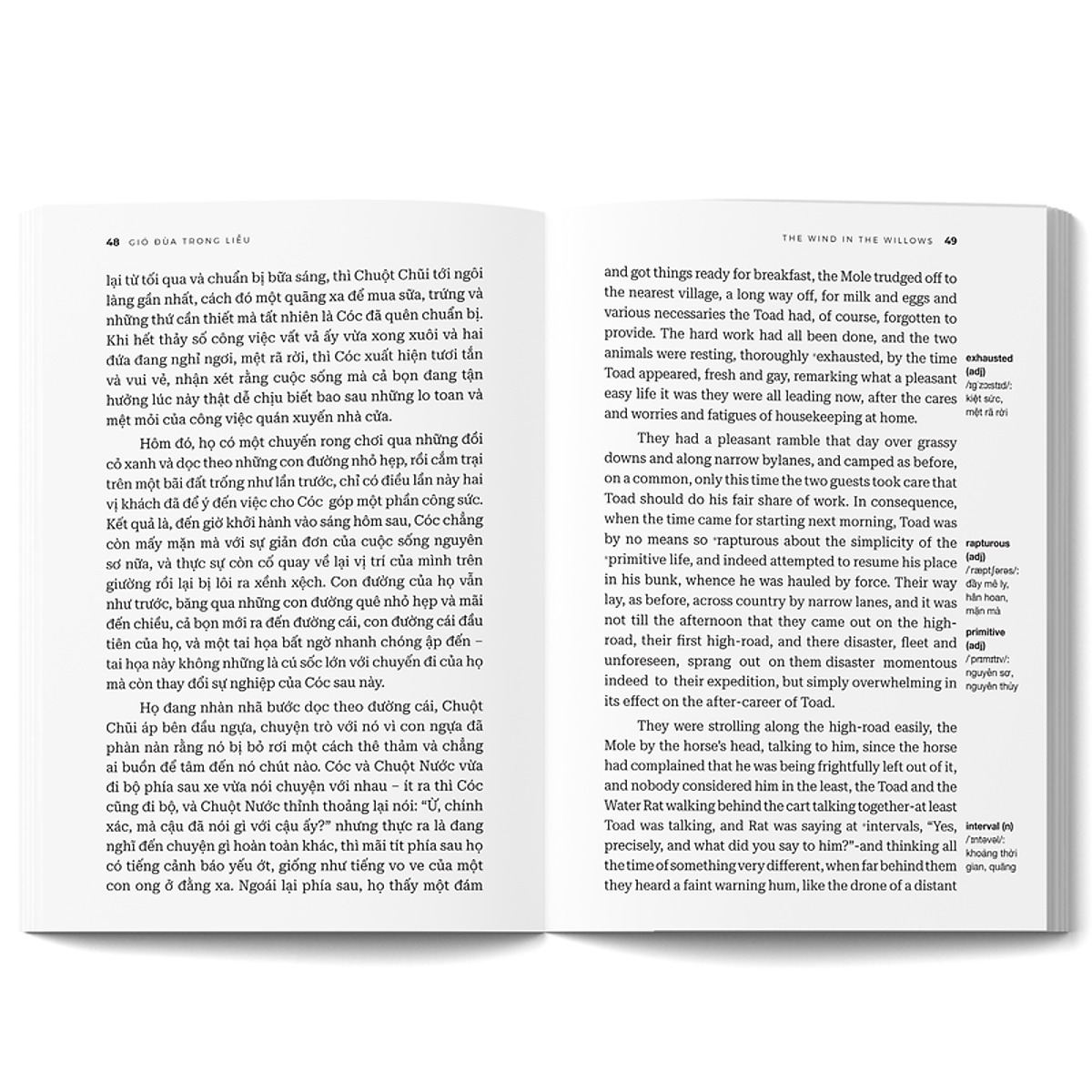 gió đùa trong liễu - the wind in the willows - song ngữ việt-anh - Ảnh 7