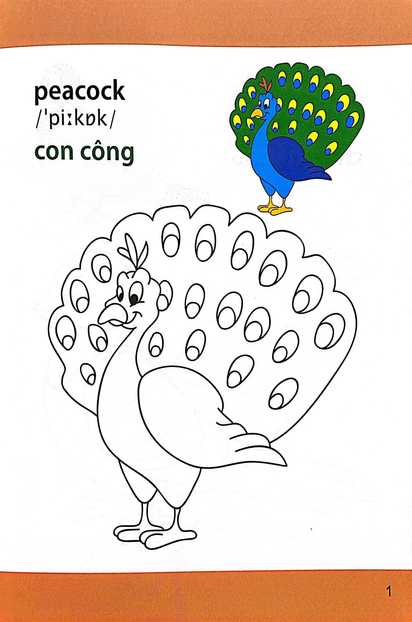 giờ học tô màu của bé - các loài chim (siêu nhân vui nhộn - siêu bổ ích) - Ảnh 3