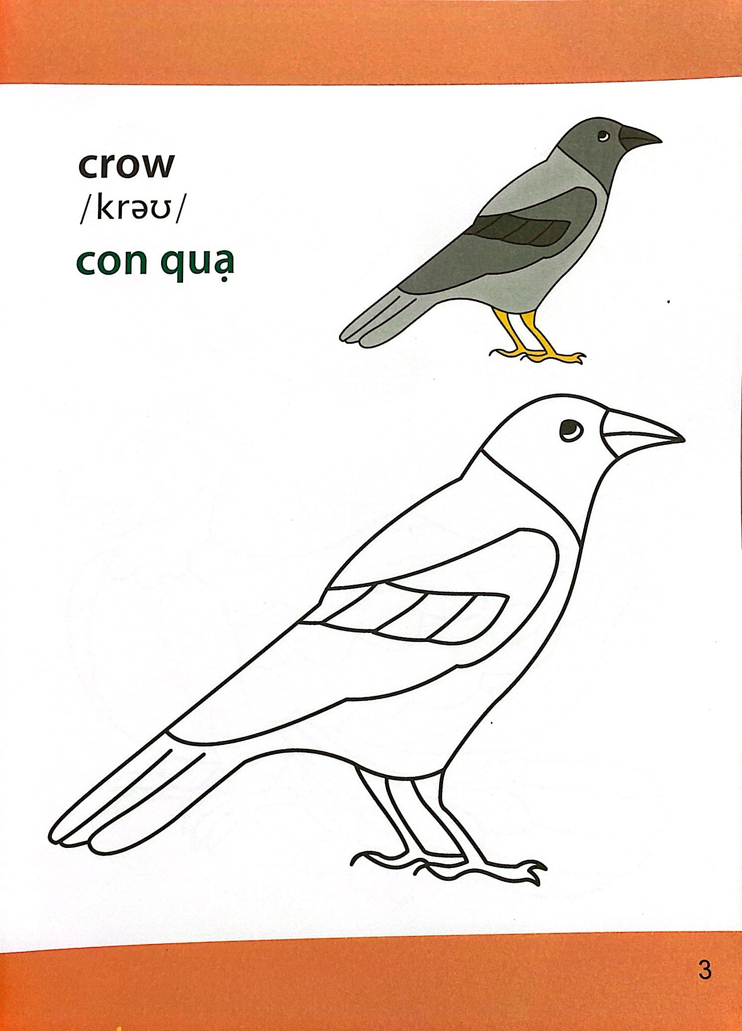 giờ học tô màu của bé - các loài chim (siêu nhân vui nhộn - siêu bổ ích) - Ảnh 5