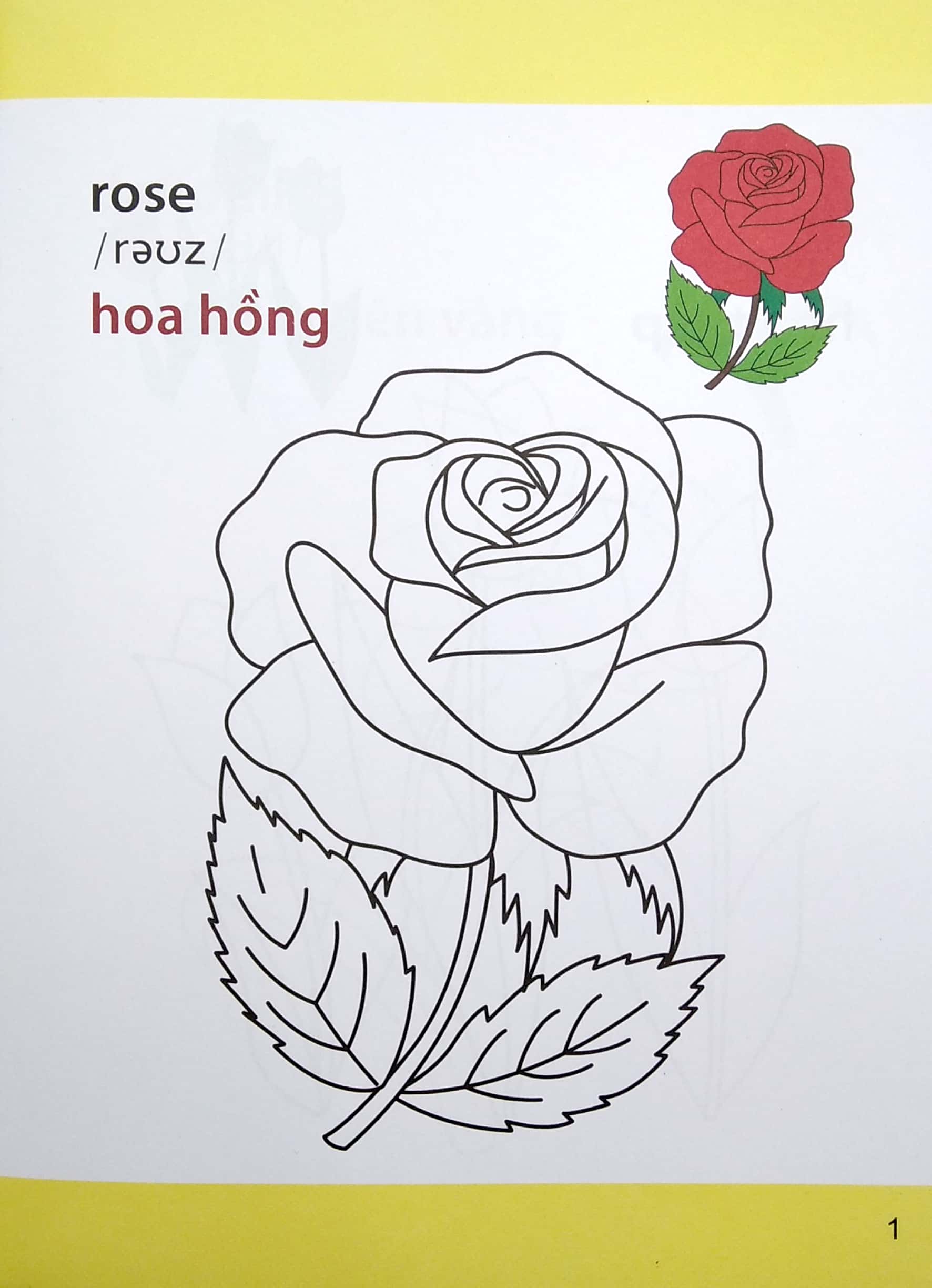 Gio Hoc To Mau Cua Be - Cac Loai Hoa (Sieu Vui Nhon - Sieu Bo Ich) - Ảnh 3