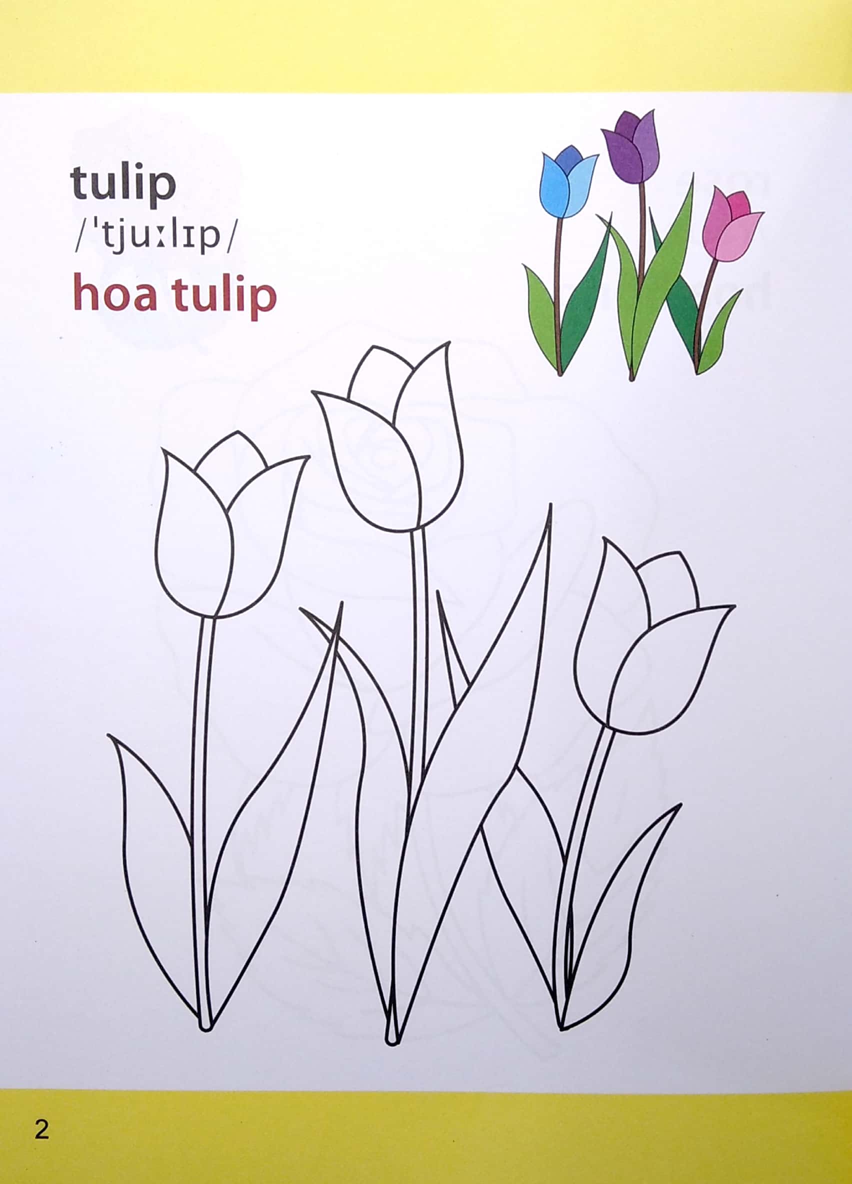 Gio Hoc To Mau Cua Be - Cac Loai Hoa (Sieu Vui Nhon - Sieu Bo Ich) - Ảnh 4