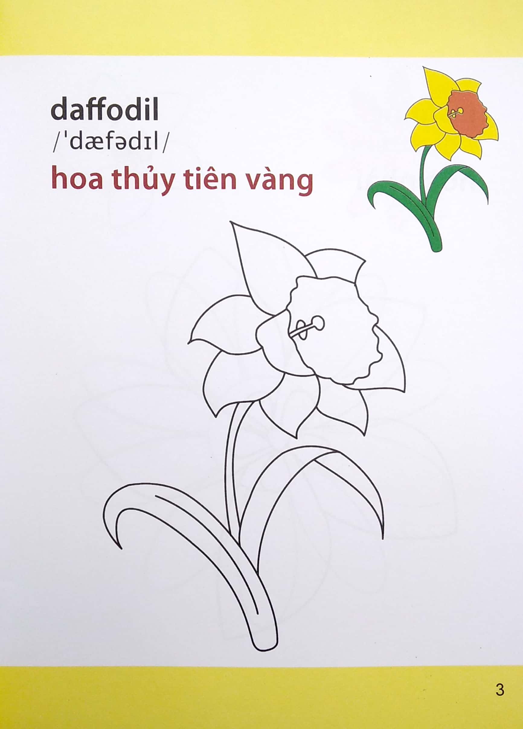 Gio Hoc To Mau Cua Be - Cac Loai Hoa (Sieu Vui Nhon - Sieu Bo Ich) - Ảnh 5