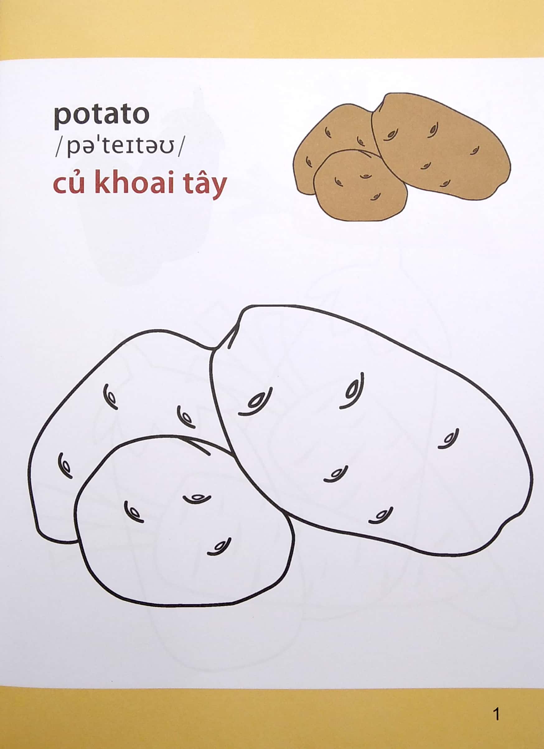 giờ học tô màu của bé - rau củ (siêu vui nhộn - siêu bổ ích) - Ảnh 3