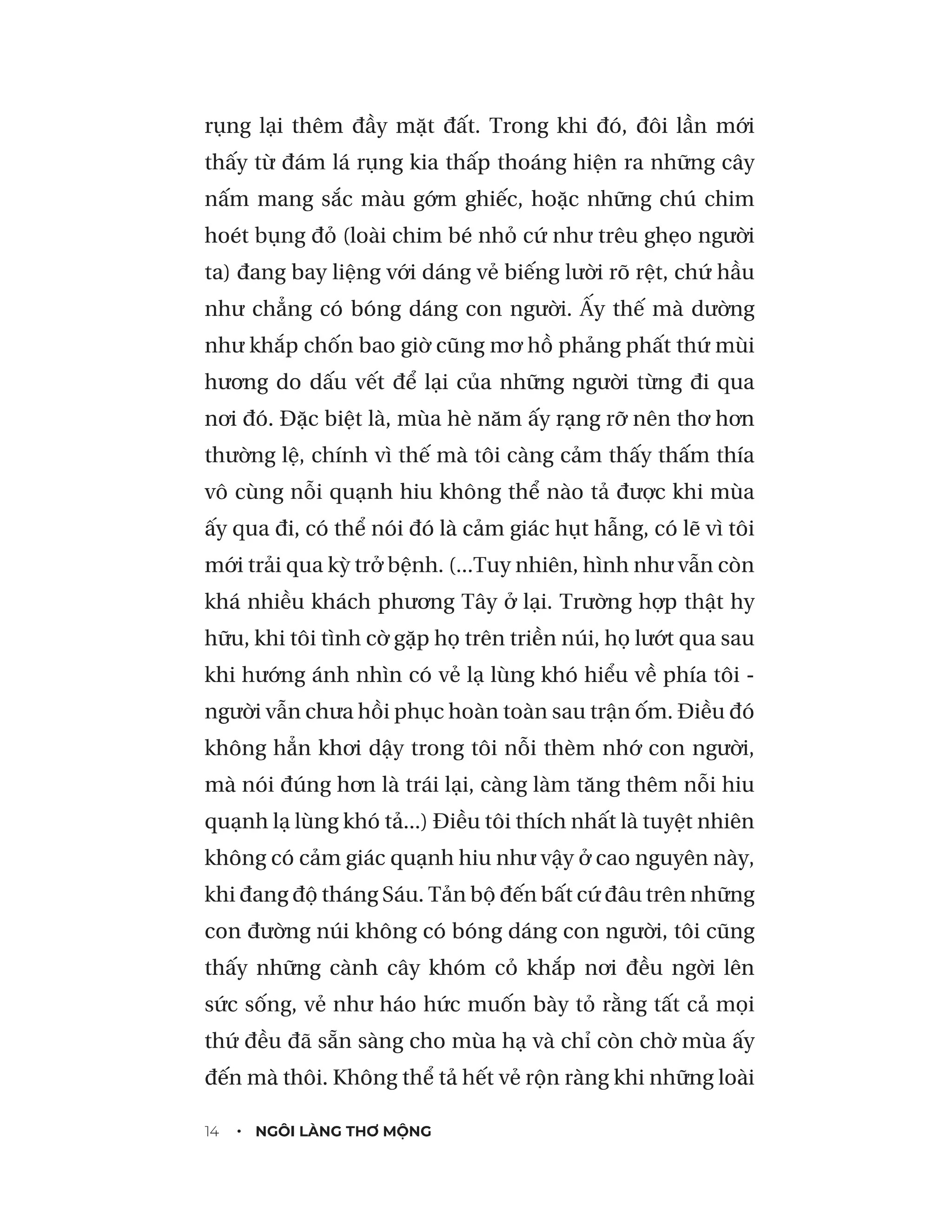 gió nổi lên - Ảnh 13