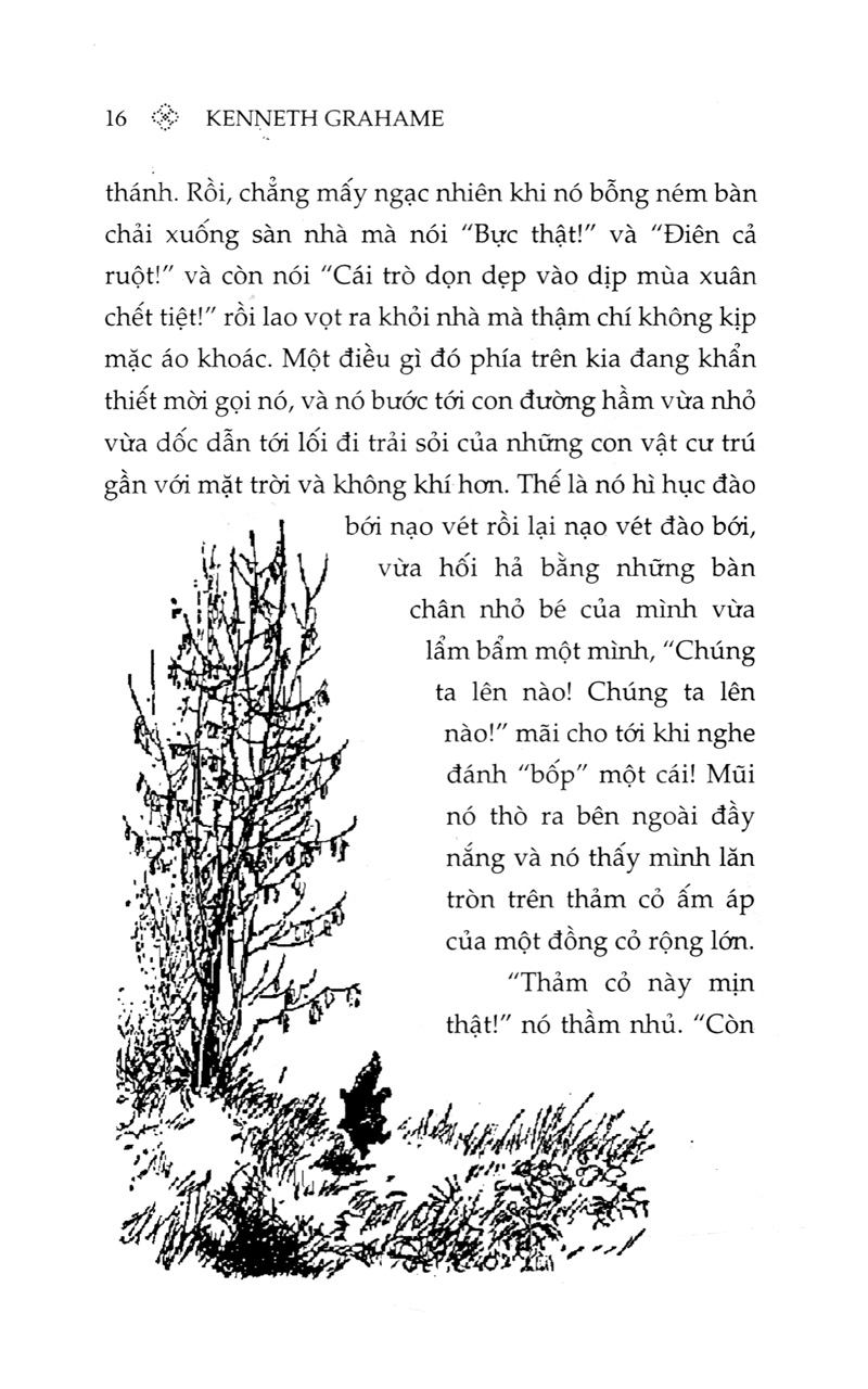 gió qua rặng liễu (tái bản 2019) - Ảnh 6