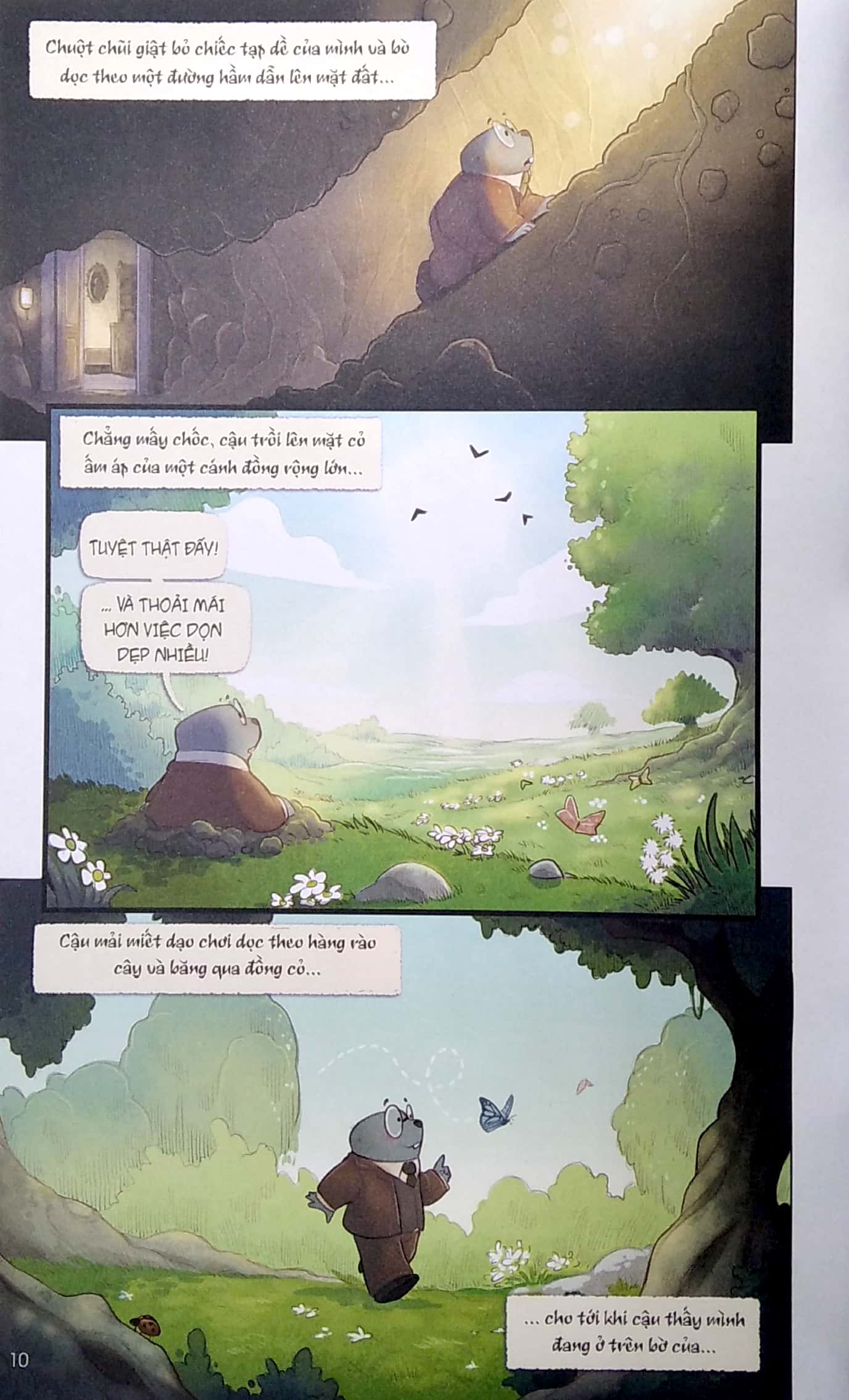 gió qua rặng liễu - the wind in the willows - Ảnh 5