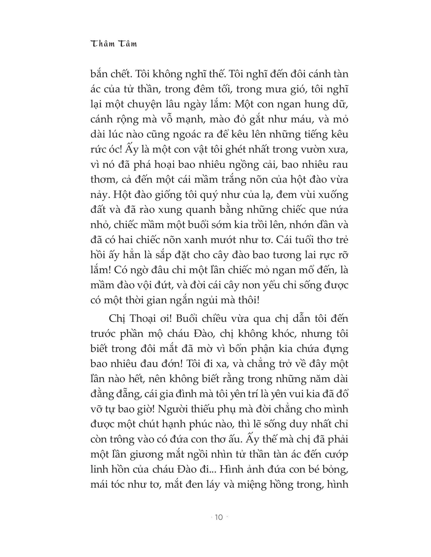 gió thu hoa cúc gầy rồi - Ảnh 10