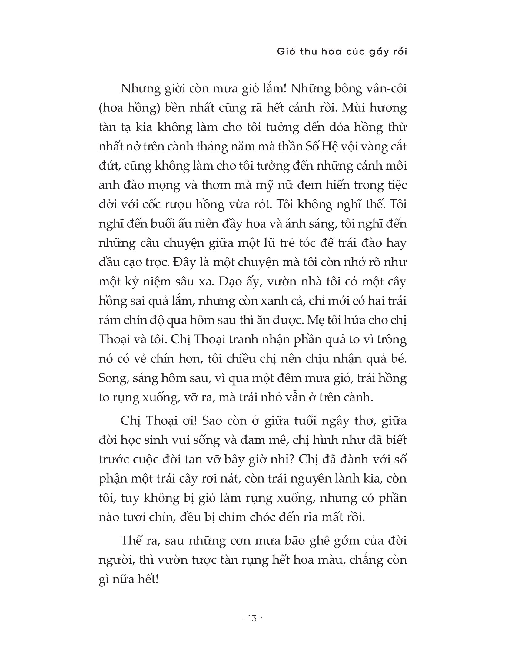 gió thu hoa cúc gầy rồi - Ảnh 13