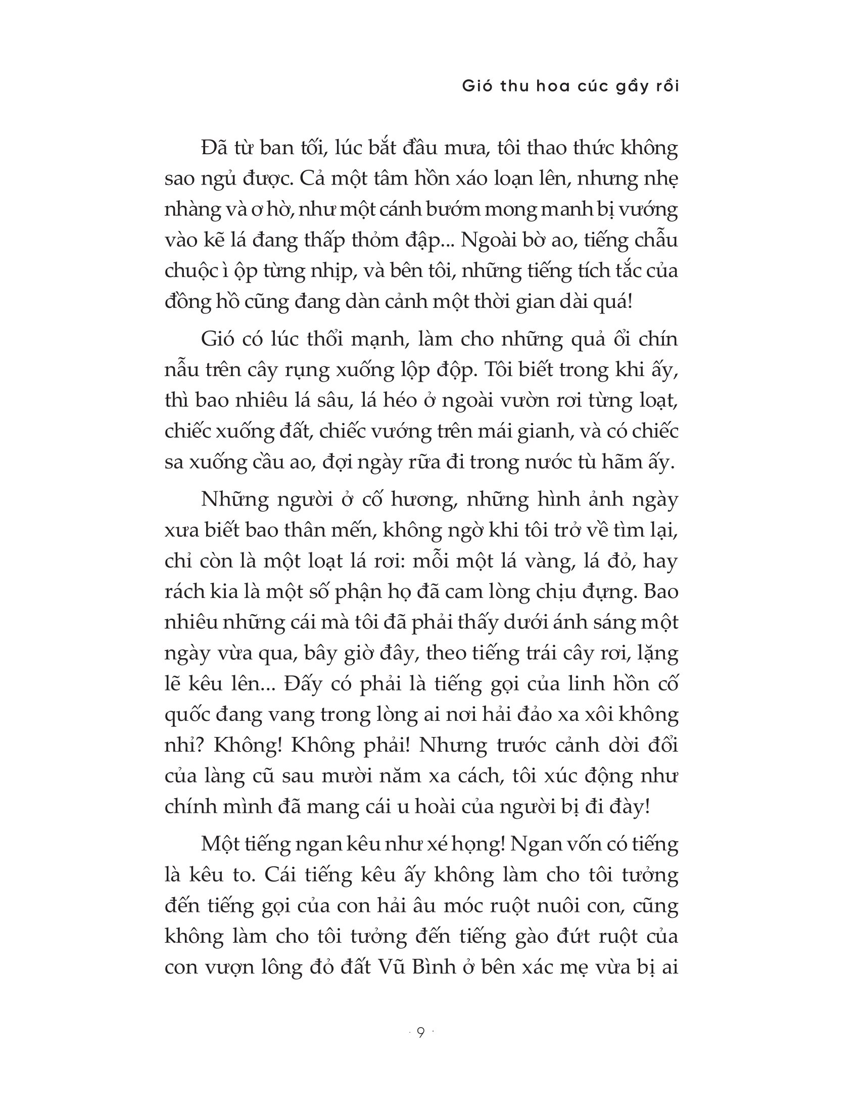 gió thu hoa cúc gầy rồi - Ảnh 9