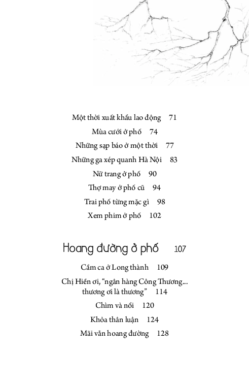 giọng của phố - Ảnh 16