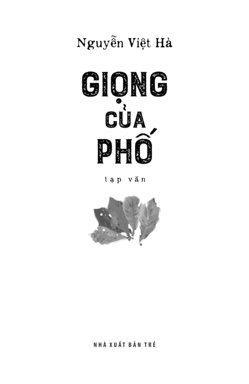 giọng của phố - Ảnh 3